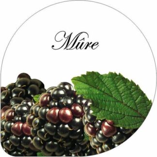 CS00000028-561028-H-Mure