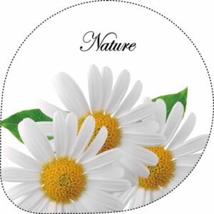 CS00000020_B1100-561020-H-copie