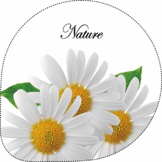 CS00000020_B1100-561020-H-copie