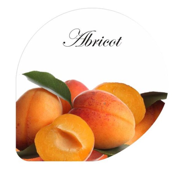 CS00000024_B1100-CS00000024-561024-H-Abricot