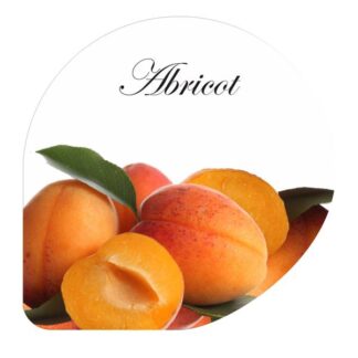 CS00000024_B1800-CS00000024-561024-H-Abricot
