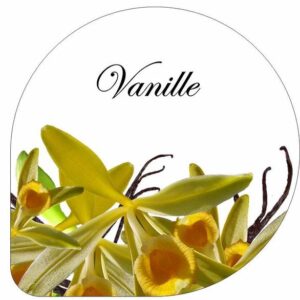 CS00000041_B1800-CS00000041-561041-H-Vanille
