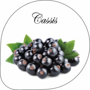 CS00000046_B1100-561053-H-copie