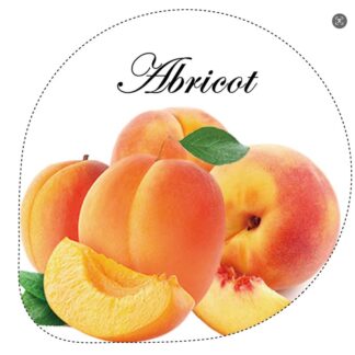CS00000024_B1100-WhatsApp-Image-2025-09-30-at-10.20.36-1